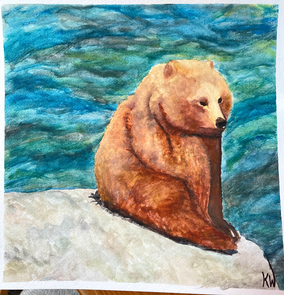 Fluffy Katmai Cub