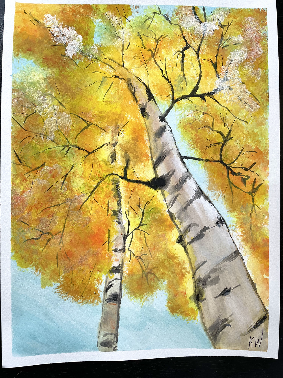 Autumn Canopy