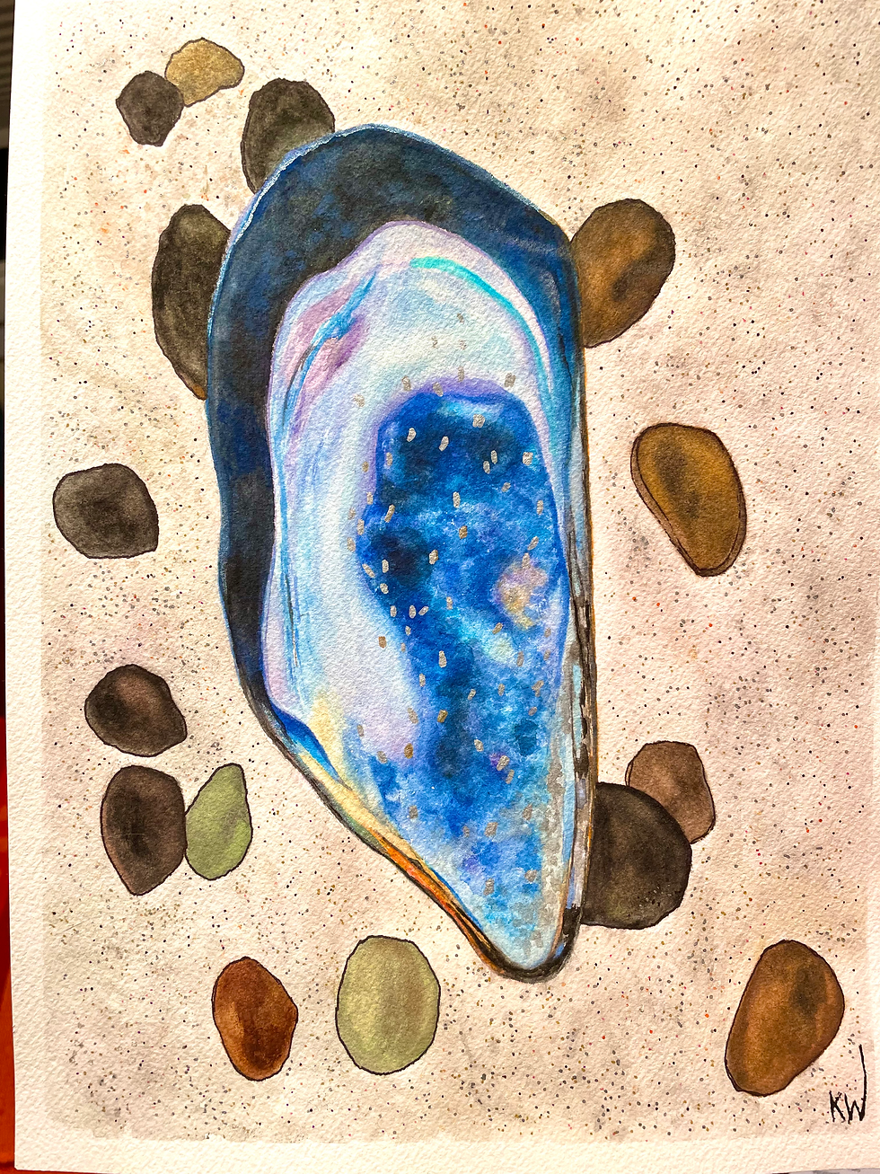 Mussel Memory