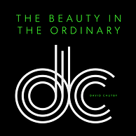 BeautyInTheOrdinary-DavidChutby.png