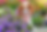 download (1).png