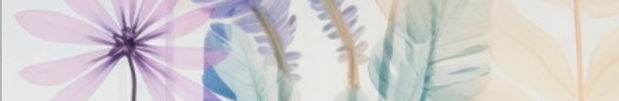 watercolour background2.jpg
