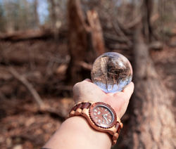 From Forest to Fashion