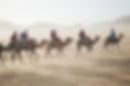 Camel Tour