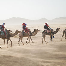 Camel Tour