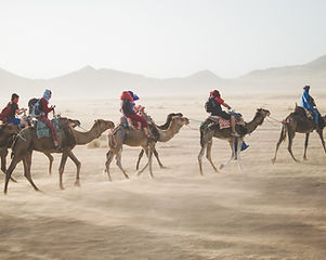 Camel Tour