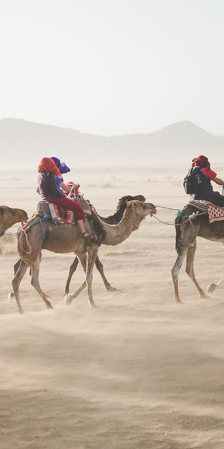 Camel Tour
