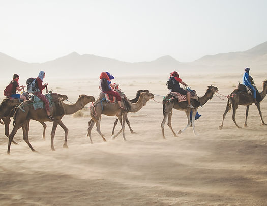 Camel Tour