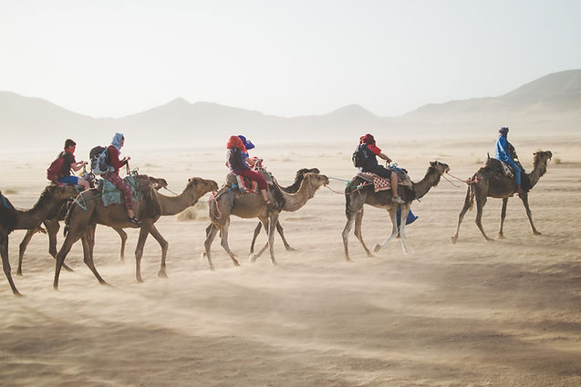 Camel Caravan Ride
