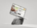 Mockup site beige.jpg