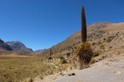 Parc national de Huascaran
