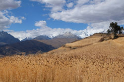 Lagune Wilcaconcha