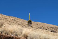 Parc national de Huascaran