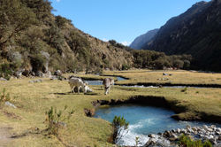 Parc national de Huascaran
