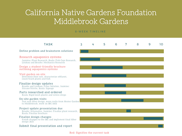 CNGF Timeline Week 4.png