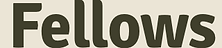 Das Logo von Fellows