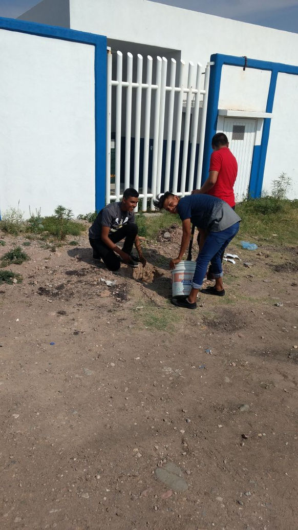 PROXIMIDAD SUMA A JÓVENES 
PARA REFORESTAR SU ESCUELA