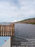 mangrove.jpg
