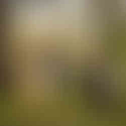 The Old Vicarage Wedding