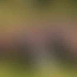 The Old Vicarage Wedding