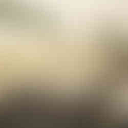 The Old Vicarage Wedding