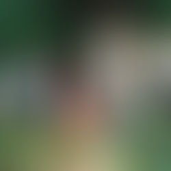 Today's Mix: 3/13/18