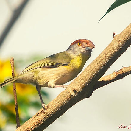 WhatsApp Image 2021-11-04 at 01.32.14.jpeg