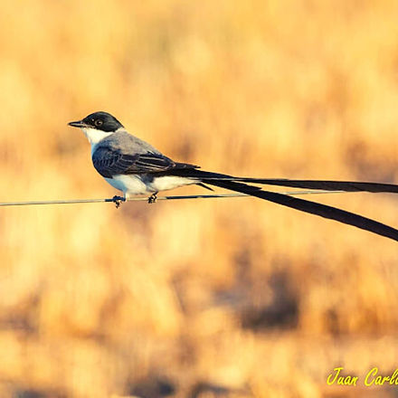 WhatsApp Image 2021-11-04 at 01.26.55.jpeg