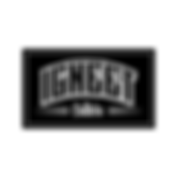 igneet culture logo