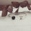 Miniatura: bracciale, fiori, cuore, gioielli artigianali, special gift, argento