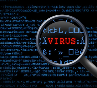 Screenshot 2025-03-07 at 11.27.25 AM.png