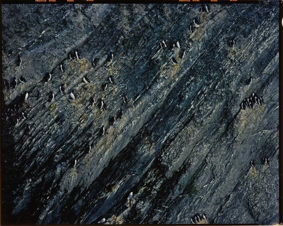 terekh16298_4K.jpg