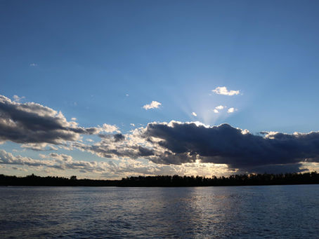 The Beginning of the Unplanned Life