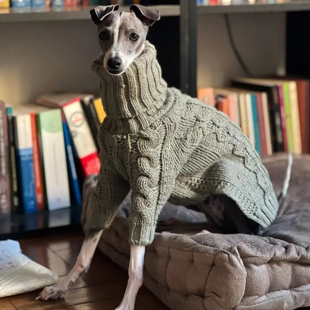 Warm Winter Pet Thick Stylish Turtleneck Italian Greyhound Whippet Sweater