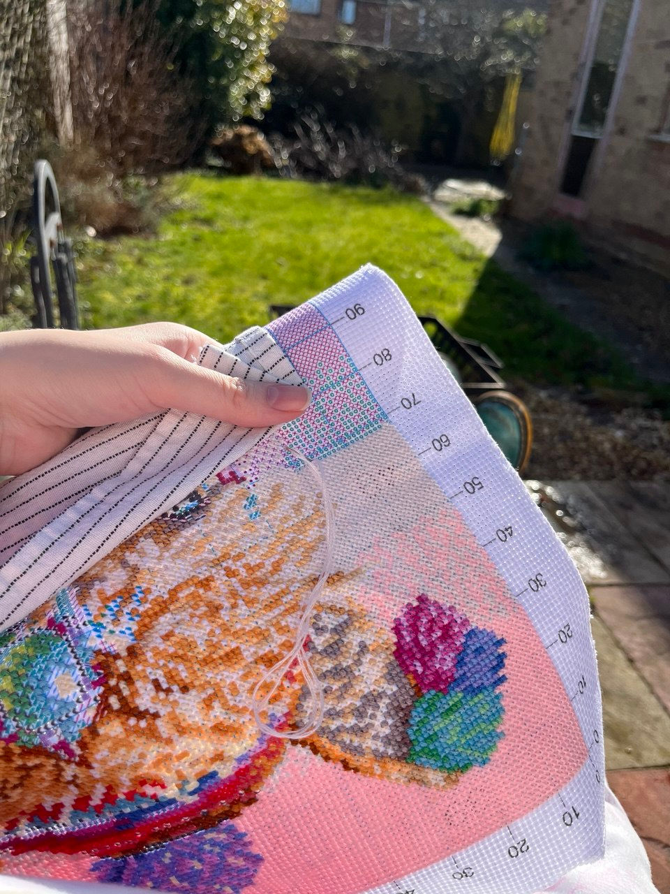 close up of a folded, printed cross-stitch in progress - you can see an alpaca's forehead and ears - with pompoms on. And the background is a garden in bright winter sunshine with a small lawn, and a few bushes