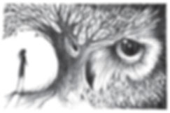 ינשופה- מוציאה לאור