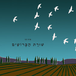 ברושים