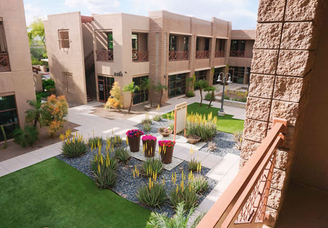 Walkway surrounded by desert plants leading to WholeChild Wellness office in Scottsdale