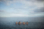South_Beach_Group_Plunge.jpg