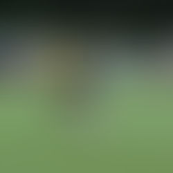 Cobertura de hombre versus cobertura de zona