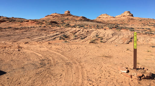 Have you seen the New Wave?