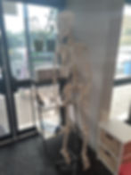 ree
