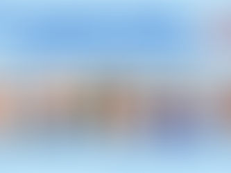 Dem candidates for November posted on NSD website