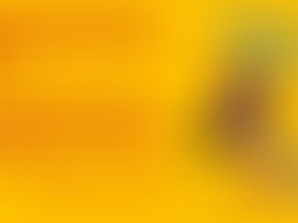 Did know that ‘childs’ come home from school as a different gender? Ask Trump: He’ll set us straight!