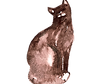Acuarela Cat 1