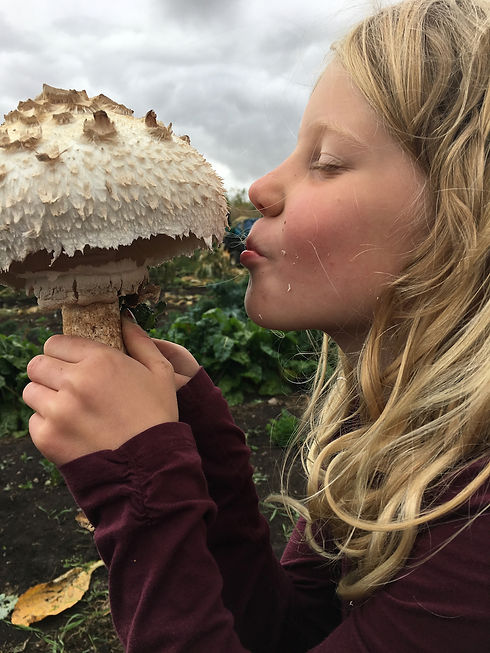 wildhavenhills - 12.jpeg