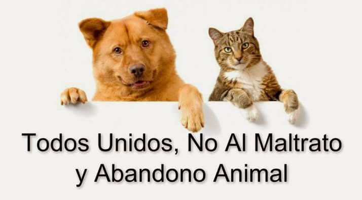 ree