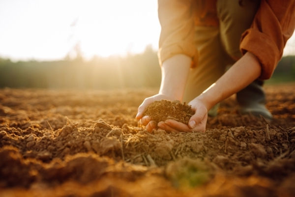 Young Female hand in soil.jpg