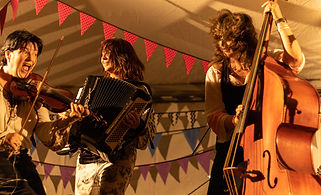 Vardos at Motley World Music
