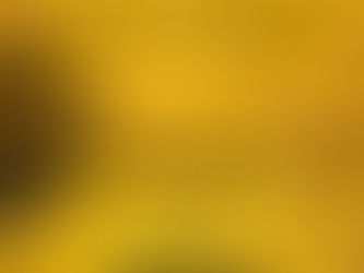 Gazounette MSH N° 9